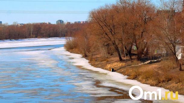 Река в Омской области вышла из берегов