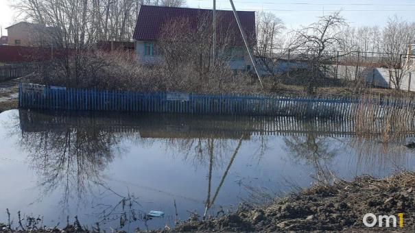 В Омской области из берегов вышло озеро