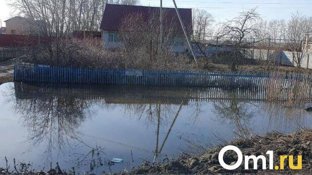 В Омской области из берегов вышло озеро