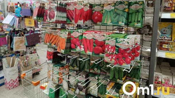 Новосибирский агроном рассказала, когда пора сеять огурцы на рассаду