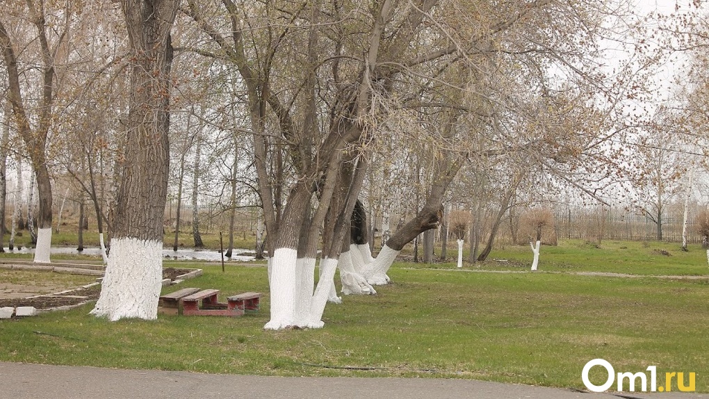 В Омске у мемориала военным медикам на пожертвования поставят памятный знак