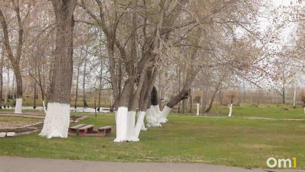 В Омске у мемориала военным медикам на пожертвования поставят памятный знак