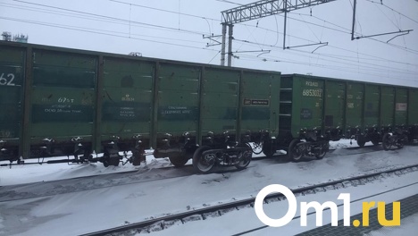 Экстренное торможение не спасло: двое новосибирцев погибли под грузовым поездом в Кемеровской области