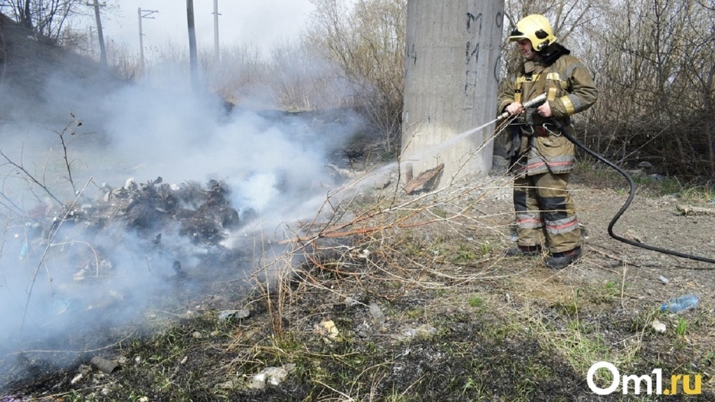 В Омской области из-за пожара на поле загорелся лес
