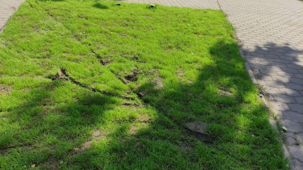 Мэр Омска Шелест призвал омичей относиться бережно к локациям «Флоры-2023»