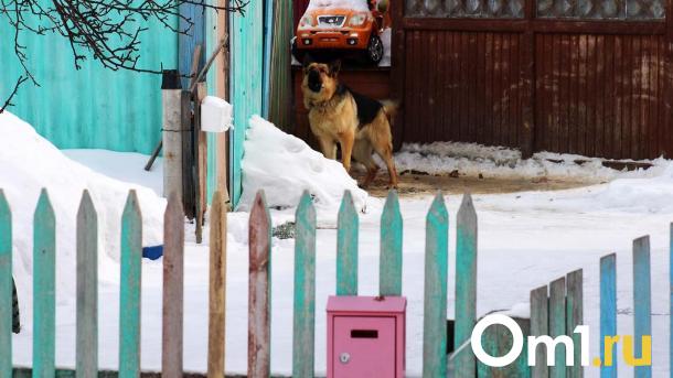В Омске объявили дату аукциона по застройке частного сектора на Северных
