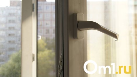 В детском лагере «Спутник» под Омском 9-летняя девочка выпала из окна