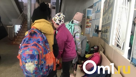Каникулам быть. В Минобре объяснили режим учёбы в омских школах