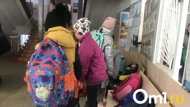 Каникулам быть. В Минобре объяснили режим учёбы в омских школах