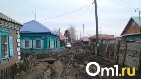 «Пока есть это наследие, город не может развиваться»: мэр Омска – о частном секторе на Северных