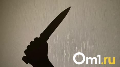 В Омске поймали мужчину, которого подозревают в убийстве собственного отца