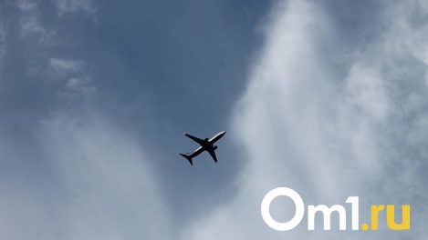 В Турции создадут авиакомпанию специально для перевозки россиян