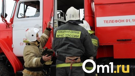 В центе омского Левобережья загорелся шашлычный павильон