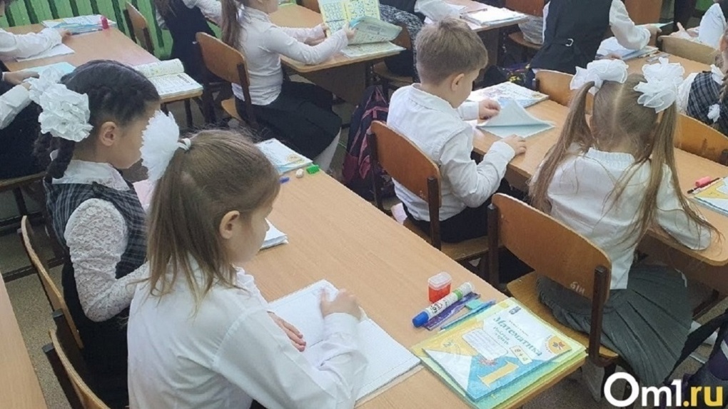 Названы даты и время школьных перекличек в Новосибирской области