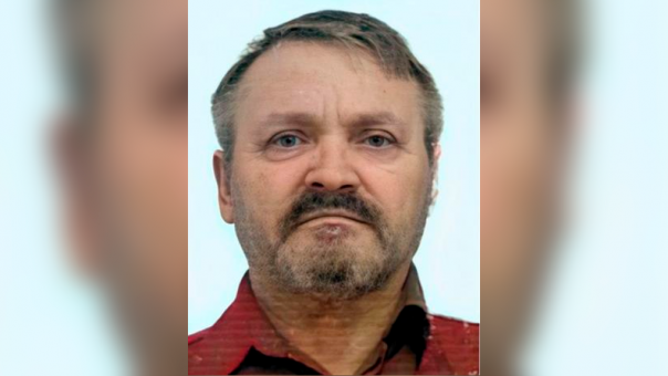 Пенсионера с овчаркой третьи сутки ищут в глухом лесу Новосибирской области