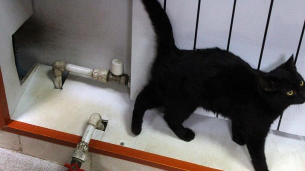 В Новосибирске сегодня завершился отопительный сезон