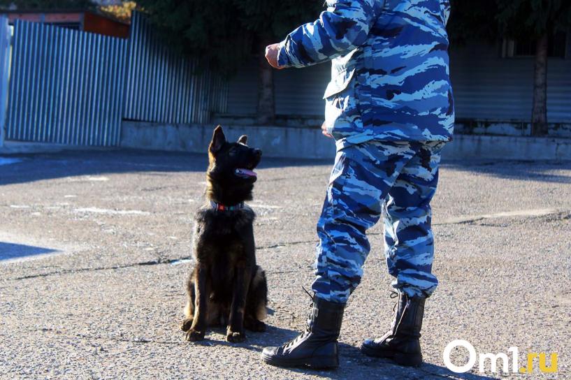 Изображение фоторепортажа