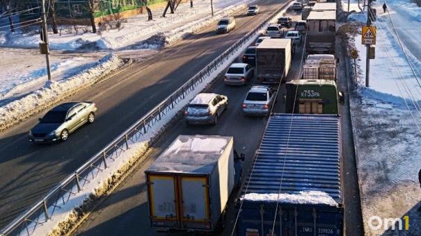 «Облепили как муравьи дохлую мышь»: водитель фуры пожаловался на поведение омичей
