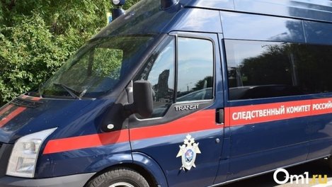 Директор новосибирской турфирмы признал вину по делу о гибели альпинистов на вулкане Камчатки