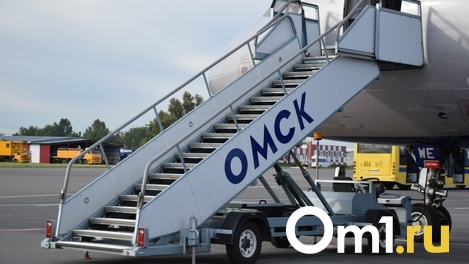 Деньги не вернут. «Уральские авиалинии» возобновляют отменённые рейсы из Омска в Москву