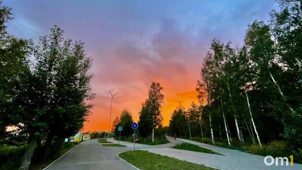 В рамках благоустройства в Омске посадят почти 500 деревьев и 5 000 кустарников