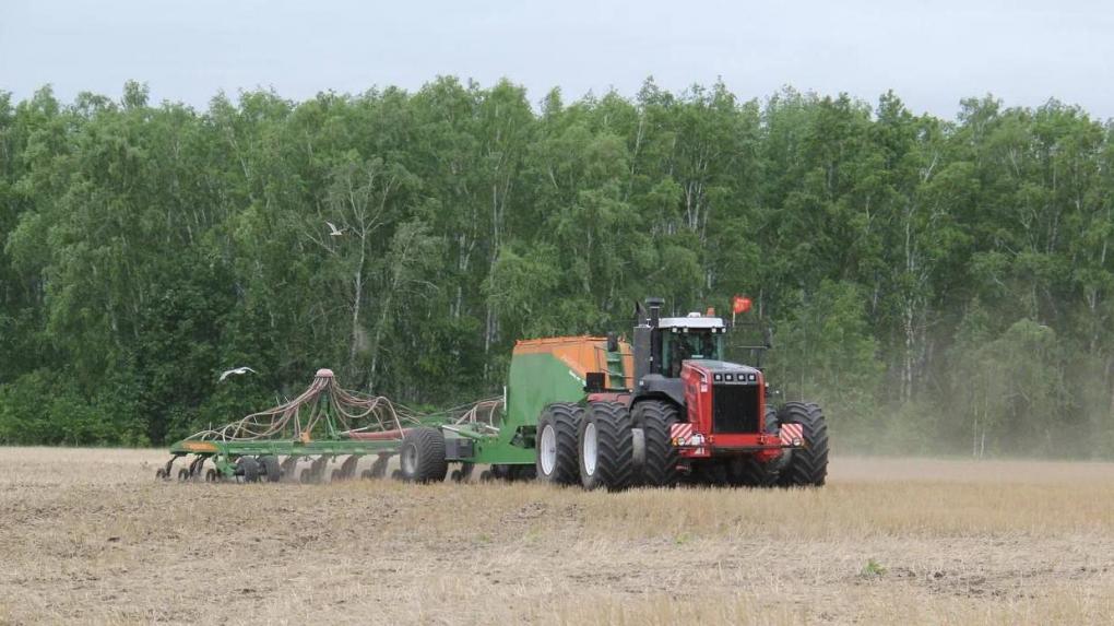 Посевная кампания в Омской области набирает темпы