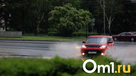 Омские водители будут ежедневно получать штрафы за отсутствие страховки