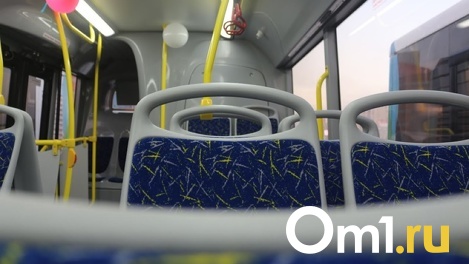 В Омске в несколько раз увеличили штраф за проезд без билета