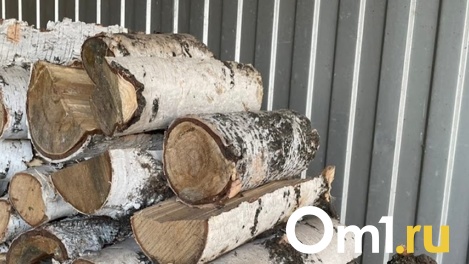 Ударил поленом и спрятал тело в погребе: бывшего зэка подозревают в убийстве омича