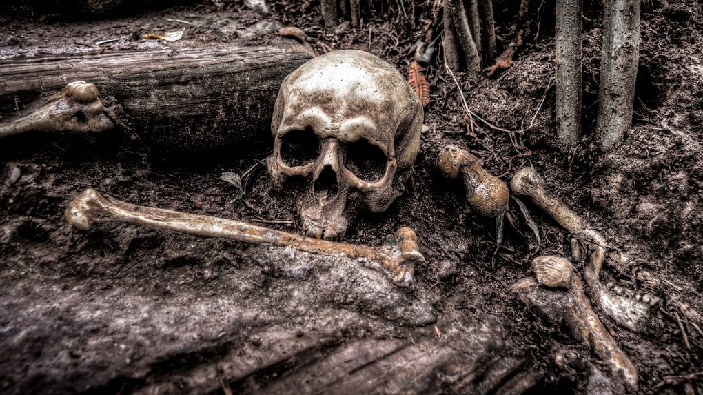 В Омске у ж/д моста нашли скелет