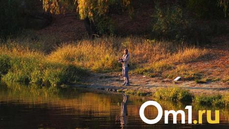 Рыбак из Омской области похвастался крупным уловом
