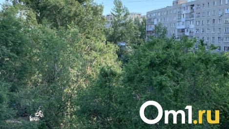 Проект застройки сквера на Красном Пути внесли в Горсовет вопреки протестам омичей