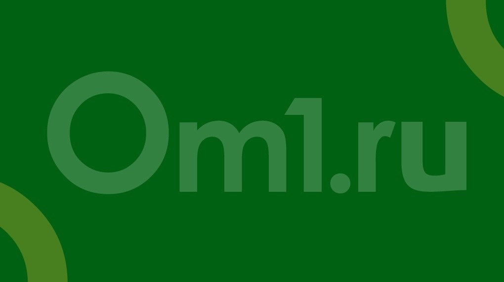 Следователи закрыли уголовное дело об аварийной посадке самолёта «Руслан» в Новосибирске