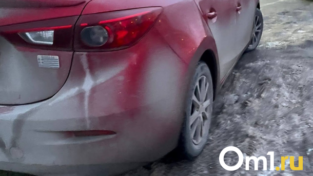 В Новосибирской области за год резко подорожали автозапчасти