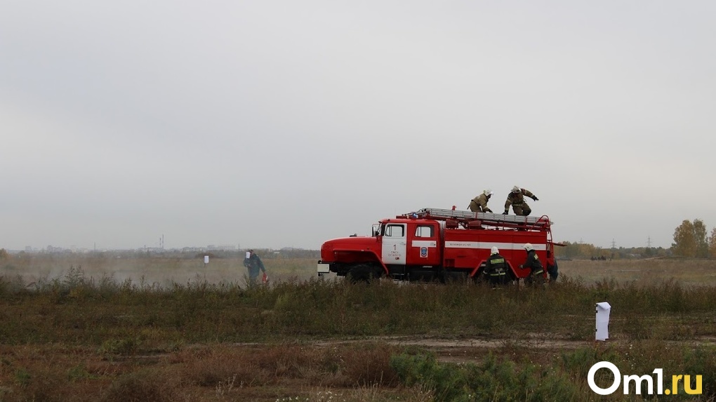 Омские пожарные за сутки выезжали на тушение сухой травы больше 100 раз