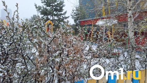 На Первомай в Омске прогнозируют мощный снегопад