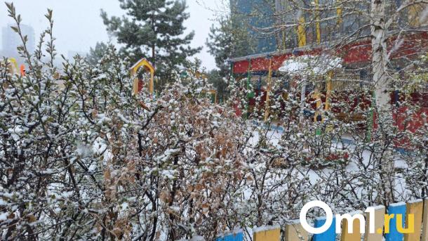 На Первомай в Омске прогнозируют мощный снегопад