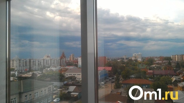 В Омске собрали экстренное совещание из-за выбросов хлорида водорода