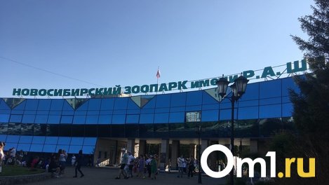 Кешбэк 5% за поход в зоопарк получат обладатели «Карты жителя Новосибирской области»
