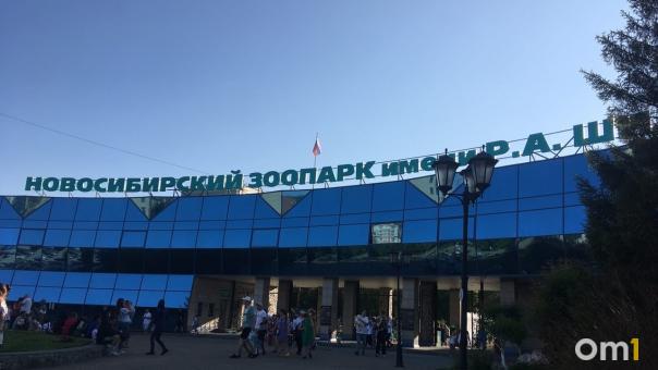 Кешбэк 5% за поход в зоопарк получат обладатели «Карты жителя Новосибирской области»