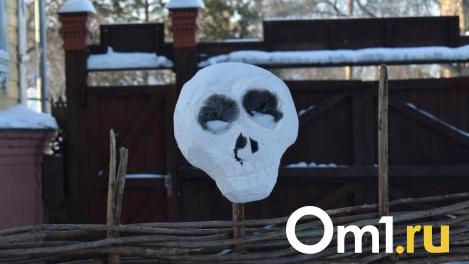 Омская полиция ищет человека с черепом, демоном и смертью