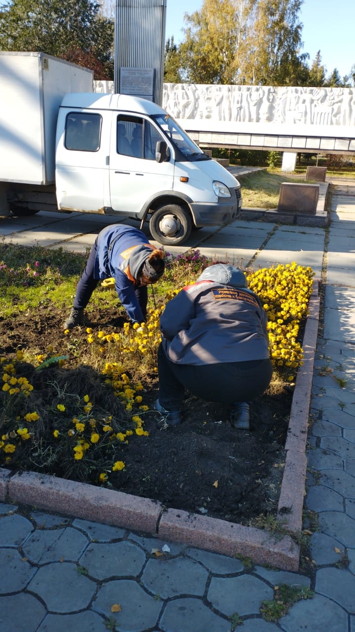 Омск покидают краски: городские клумбы очищают от цветов (Фото) - Новости  Омска - om1.ru