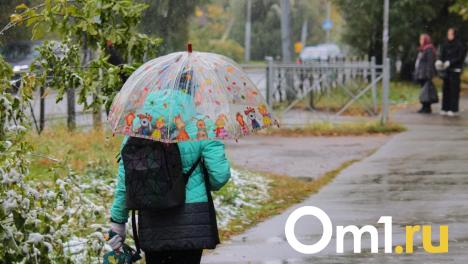 Ноябрьский дождь может стать рекордным для Омской области