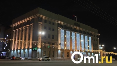 В Общественной палате Новосибирской области обсудят вопрос отмены прямых выборов мэра