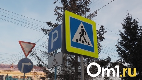 В Омске разработали инновационную систему оповещения водителей о приближении пешеходов к переходу