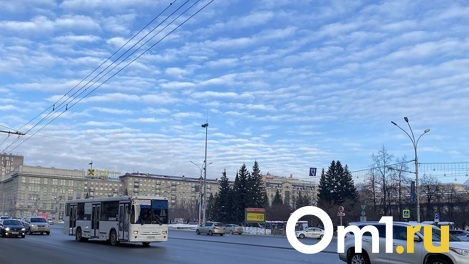 Гигантские ели помыли на площади Ленина в Новосибирске. ФОТО