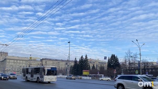Гигантские ели помыли на площади Ленина в Новосибирске. ФОТО