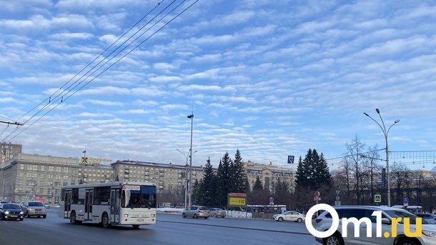Гигантские ели помыли на площади Ленина в Новосибирске. ФОТО