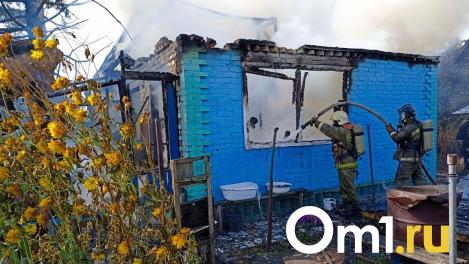 Под Омском загорелась дача – погибла пенсионерка