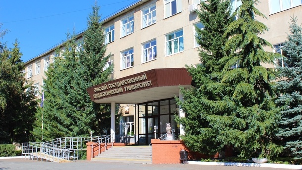 Специалисты дошкольного образования обменялись опытом на международной конференции в ОмГПУ